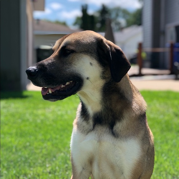 Meet your Posher, Kim - Picture 1 of 1